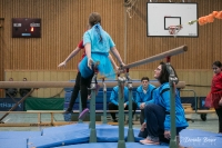 Kleine Feen in den Zweigen_26