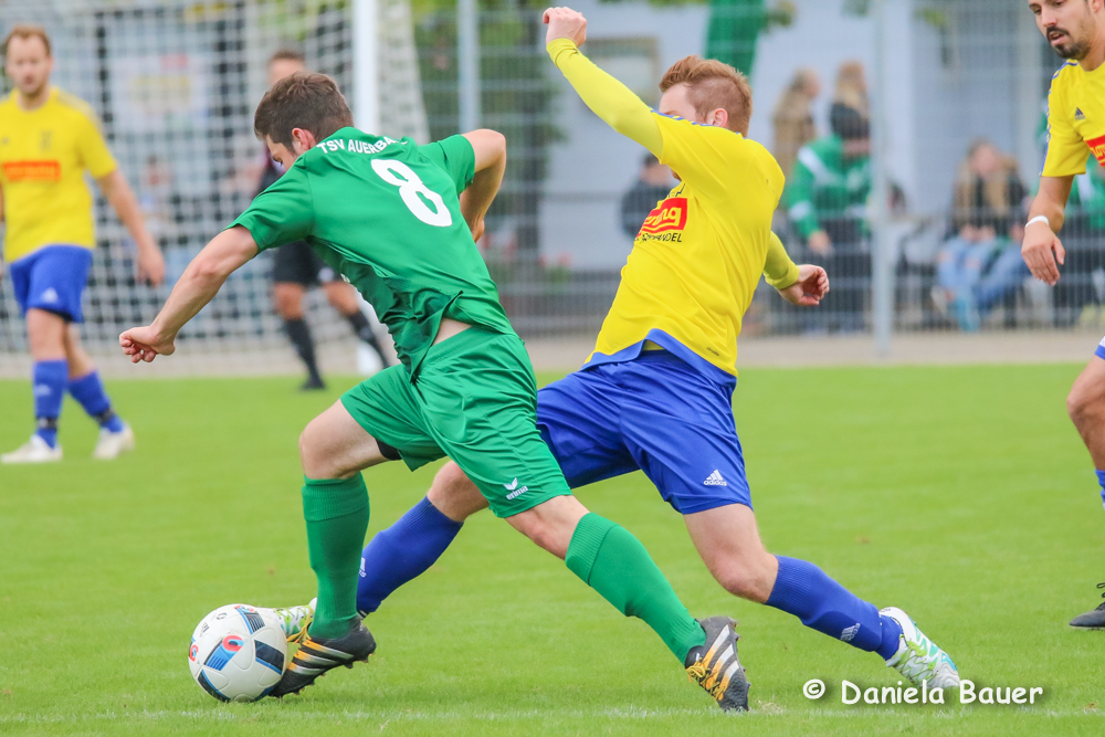 TV Spöck - TSV Auerbach_31